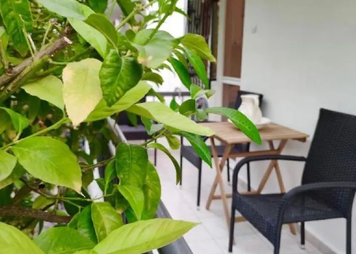 Cozy Seaview Appartement