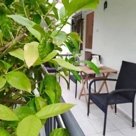 Cozy Seaview Apartament